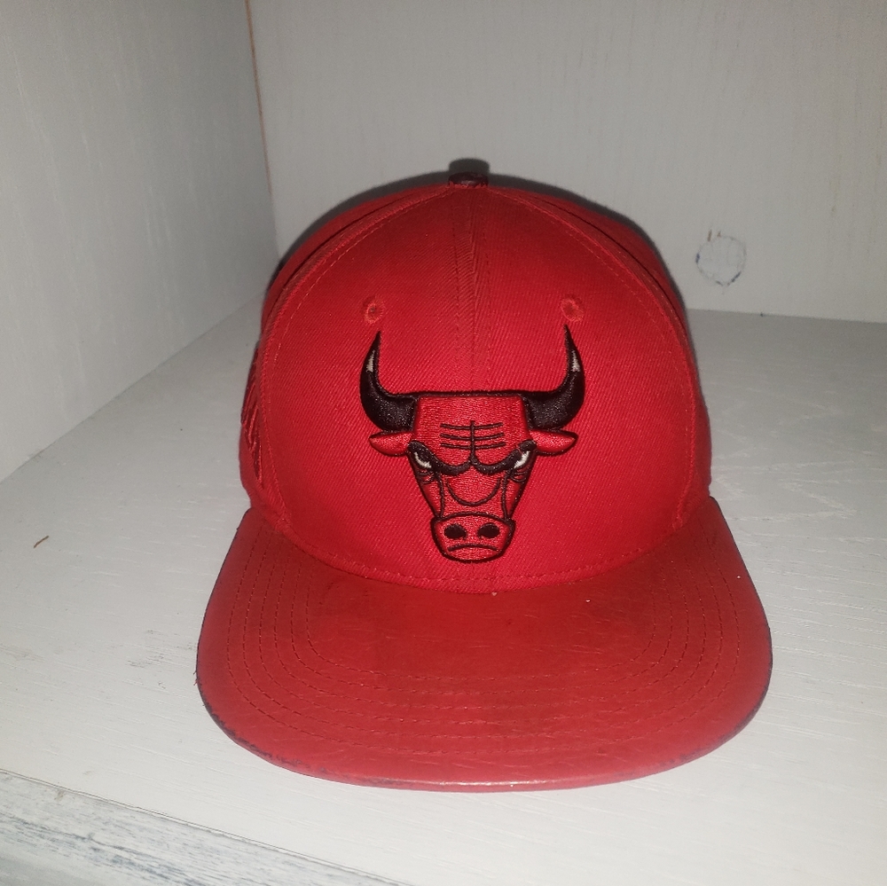 Chicago Bulls Pro Standard Hat